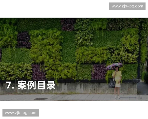 爱尔兰的绿意与俄罗斯的广袤：一场跨越山海的情感对话