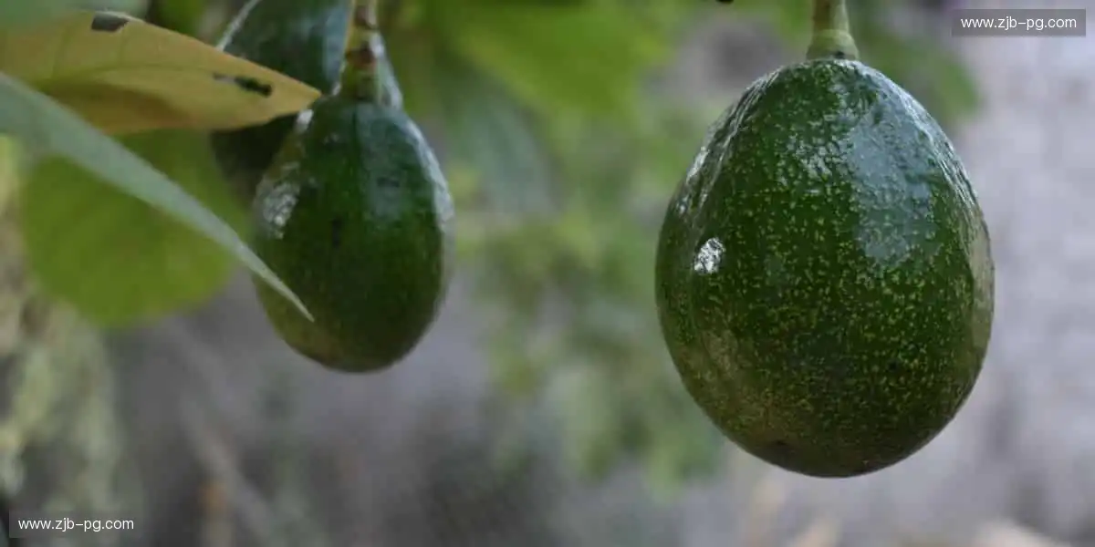 热血赛事，一触即发！🔥⚽️